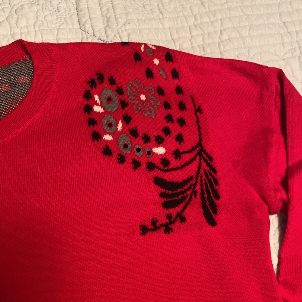 Red Sweater - Picture 4 of 7